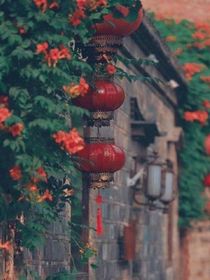 全能明星