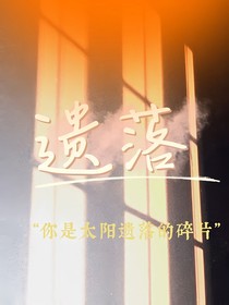 遗落的碎光