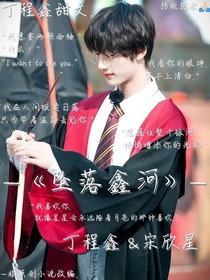 丁程鑫：坠落鑫河