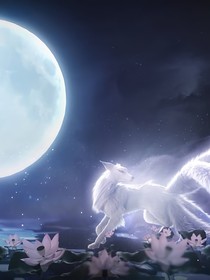 狐之旅为所欲为