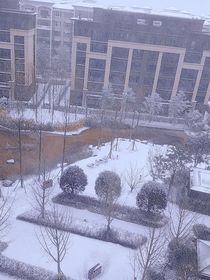 选择困难