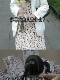 6个哥哥团宠我