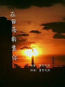 在日落前愛你