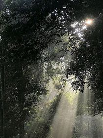 文軒：他的救贖