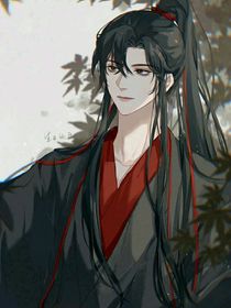 宗主的情里