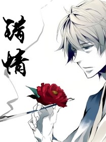错情于你