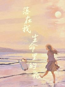落在我生命里的光