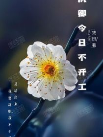 鳳卿今日不開工
