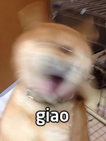 疯癫柠檬死后勇闯传说之下！
