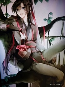 怀桑与羡羡