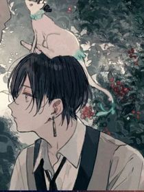 他們都想被我撬墻角
