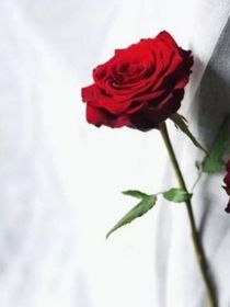 嚴浩翔：等風散去