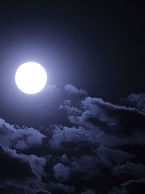 你是我一生的月光
