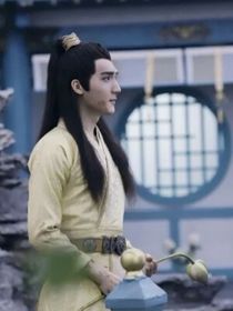 陈情令：轩柔
