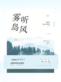 雾岛听风的封面铺