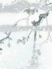 木易成林
