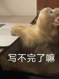 守财奴的小傻子