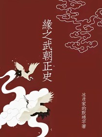 緣之武朝正史