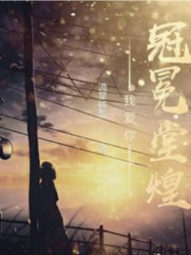 我爱你冠冕堂皇
