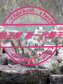 狼王夢(mèng)新一代狼王（續(xù)）