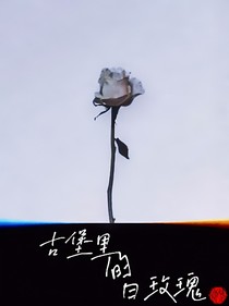 古堡里的白玫瑰