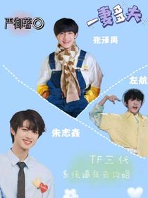 TF三代：系統(tǒng)逼我去攻略