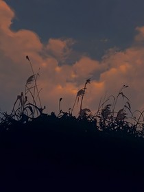她们的爱