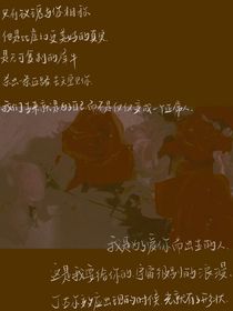 续猫咪的玫瑰