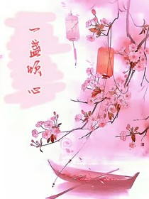 一盏倾心