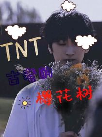 TNT：古老的櫻花樹
