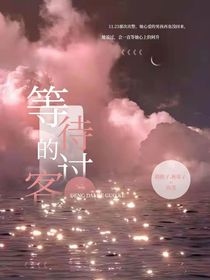 等待的过客