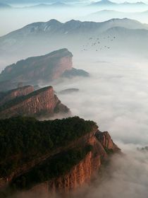 凹凸世界：森海峰