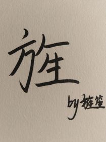 查理九世——旌