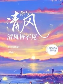 你与清风皆不见