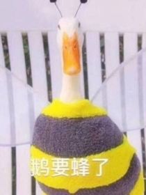 斗龙之谁在敲打我窗