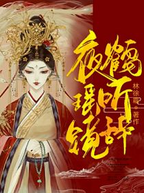 夜鹤瑶听镜辞
