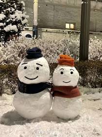 我在深海养人鱼