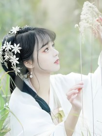 皇兄，別亂來