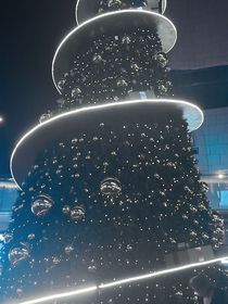 秋月无边无际华