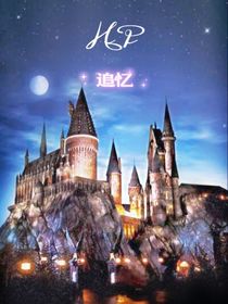 HP：追忆