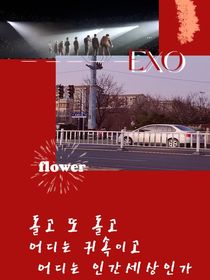 EXO：flower