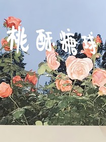 桃酥糖球