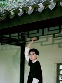 王源：觸不可及的星星