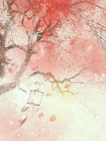 云鬢花顏金步搖（才女王爺篇）