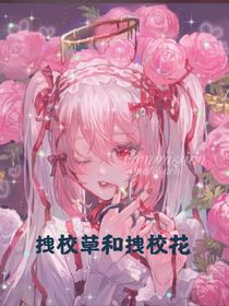 拽校草和拽校花