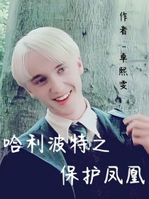 哈利波特之保护凤凰