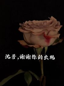 沈哥，谢谢你的出现