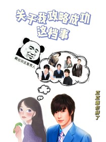关于我攻略成功这档事