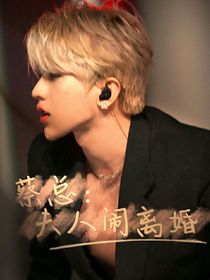蔡总：夫人闹离婚