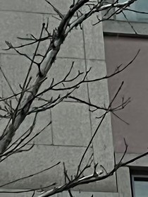 幕色歌
